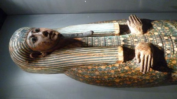 Mummification Museum Egypt Travel Booking